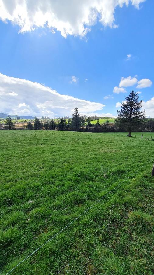 Yellow Heights Country House Tinahely Exterior foto